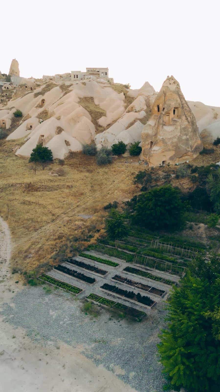 Millstone Cave Suites bahçesinde organik yetişen ürünler